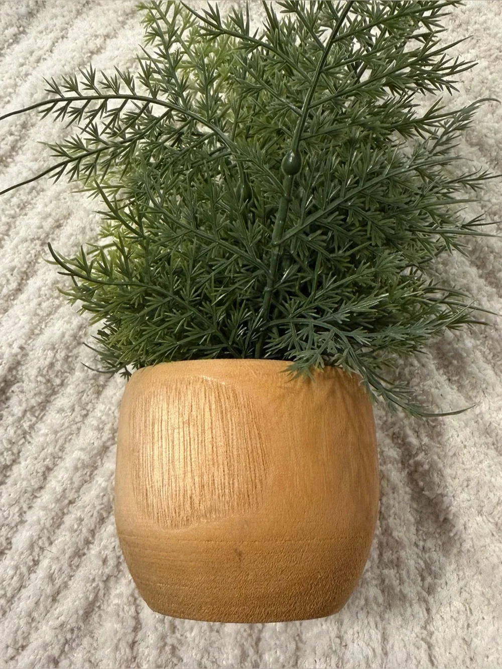 N/A faux fern
